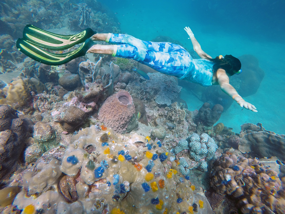 Plongée avec palmes, masque et tuba en Martinique - Au départ des